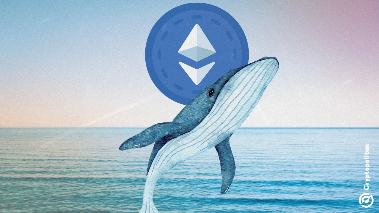 Berapa Jumlah Ethereum yang Beredar di Dunia Saat Ini