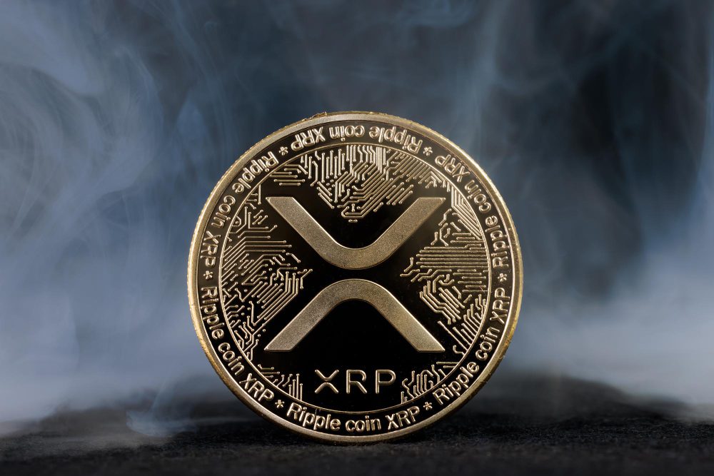 Siapa Pemilik XRP Terbesar di 2025