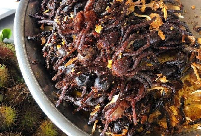 makanan dari serangga